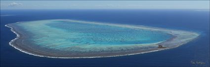 Wistari Reef - QLD (PBH4 00 18455)